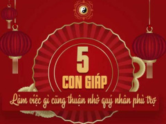 Ảnh bìa bài viết 720917