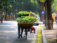 Ảnh bìa bài viết 720909