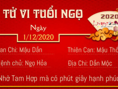 Ảnh bìa bài viết 721104