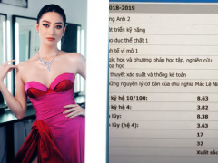 Ảnh bìa bài viết 721199