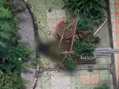 Ảnh bìa bài viết 721563