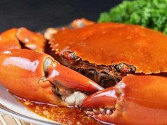 Ảnh bìa bài viết 721914