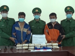 Ảnh bìa bài viết 721986