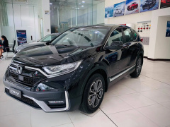 Ảnh bìa bài viết 722150