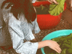 Ảnh bìa bài viết 722533
