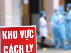 Ảnh bìa bài viết 722440