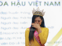 Ảnh bìa bài viết 722816