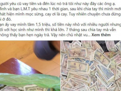 Ảnh bìa bài viết 723068