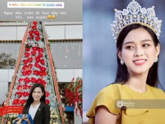 Ảnh bìa bài viết 722964