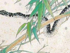 Ảnh bìa bài viết 722921