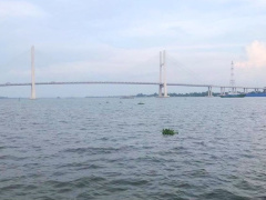 Ảnh bìa bài viết 723161