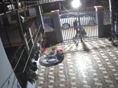 Ảnh bìa bài viết 723181