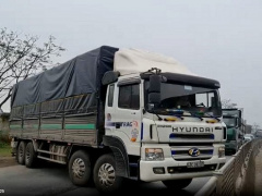 Ảnh bìa bài viết 723565