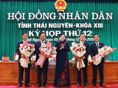 Ảnh bìa bài viết 723349