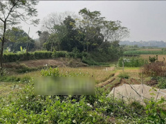 Ảnh bìa bài viết 723542