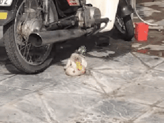 Ảnh bìa bài viết 723813