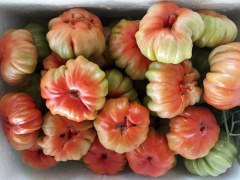 Ảnh bìa bài viết 724234