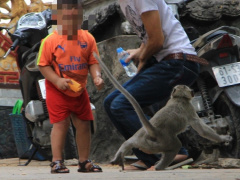Ảnh bìa bài viết 724543