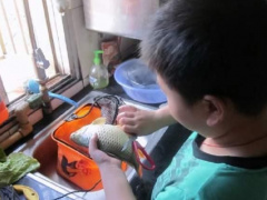 Ảnh bìa bài viết 724598