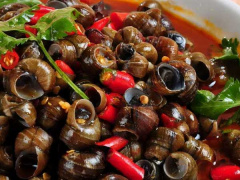 Ảnh bìa bài viết 724617