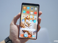 Ảnh bìa bài viết 724837