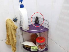 Ảnh bìa bài viết 724850