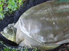 Ảnh bìa bài viết 725030