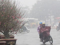 Ảnh bìa bài viết 725127