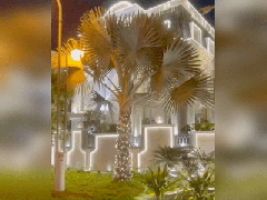 Ảnh bìa bài viết 725298