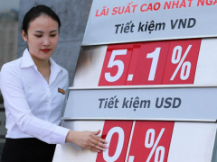 Ảnh bìa bài viết 725365