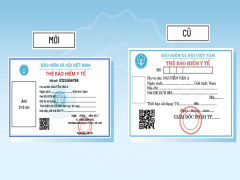 Ảnh bìa bài viết 725331