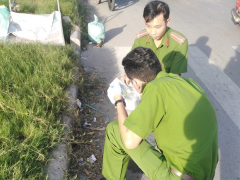 Ảnh bìa bài viết 725652