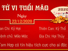 Ảnh bìa bài viết 725677