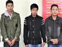 Ảnh bìa bài viết 725947