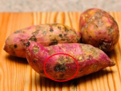 Ảnh bìa bài viết 725923