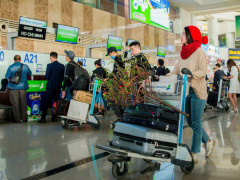Ảnh bìa bài viết 726229