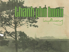 Ảnh bìa bài viết 726227