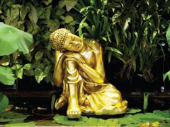 Ảnh bìa bài viết 726641