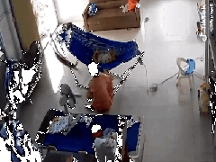 Ảnh bìa bài viết 726657