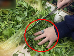 Ảnh bìa bài viết 727094