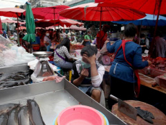 Ảnh bìa bài viết 727154