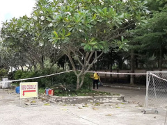 Ảnh bìa bài viết 727332