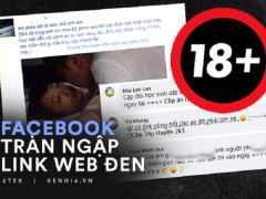 Ảnh bìa bài viết 727335