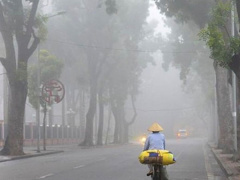 Ảnh bìa bài viết 727261
