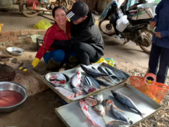 Ảnh bìa bài viết 727686