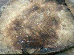Ảnh bìa bài viết 728317