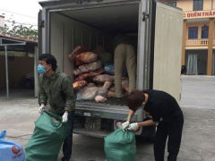 Ảnh bìa bài viết 728277