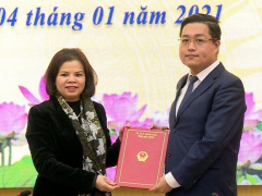 Ảnh bìa bài viết 729202