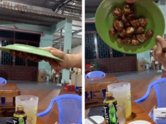 Ảnh bìa bài viết 729439