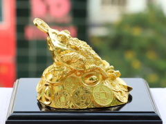Ảnh bìa bài viết 729992